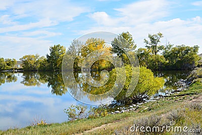 Still shores reflection Stock Photo