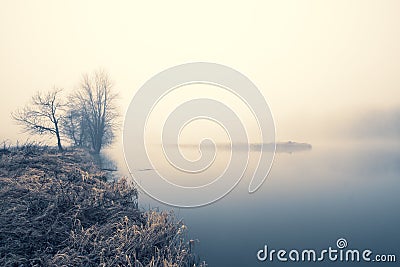 Still water and shore with leafless trees and fog obscure horizon; cool tones; copy space Stock Photo