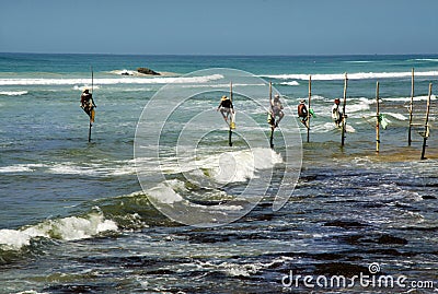 Stilt fishermen in Sri Lanka Editorial Stock Photo