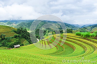 Stilt house on the rice terraced field with the mountains and clouds Stock Photo