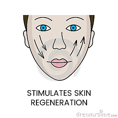 Stimulates skin regeneration in vector, girl face illustration with arrows Vector Illustration