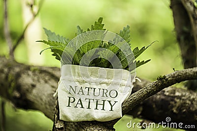 Stinging Nettle with the word Naturopathy Stock Photo