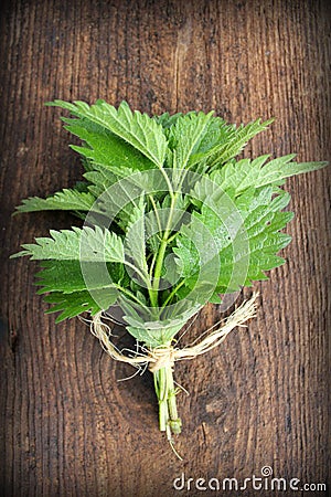 Stinging nettle Stock Photo