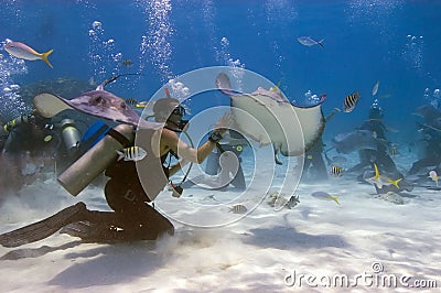 Stingray City Editorial Stock Photo