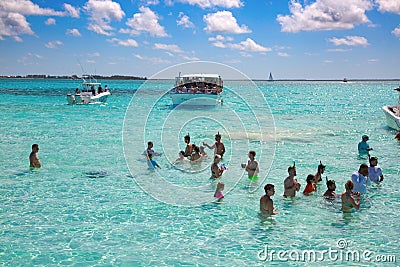 Stingray city Editorial Stock Photo