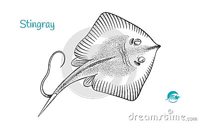 Stingray hand-drawn illustration Vector Illustration
