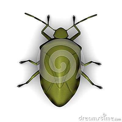 Stink bug Stock Photo