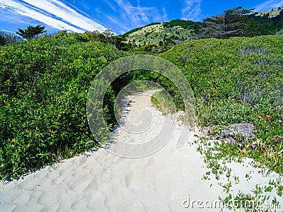 Stinson Beach, Sandy Pathway into the Hills Stock Photo
