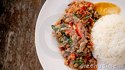 Stir-Fried Minced Pork with Basil Leaves on top Stock Photo