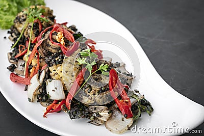 Stir fry fresh spicy squid with kampot pepper in cambodia Stock Photo