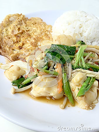 Stir vegetables with Tofu in chinese style with gravy Sauce and thai style omelet with rice in white plate on background. Vegetari Stock Photo