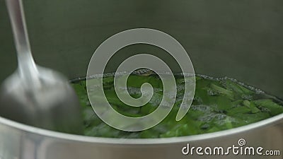 boiling mint leaves in water boiling mint leaves in water