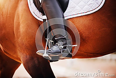 In the stirrup is the foot of a rider in a black boot, sitting on a bay racehorse. Equestrian sports. Horse riding Stock Photo