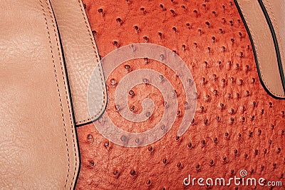 Stitched combination of two textures of imitation leather Stock Photo