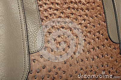 Stitched combination of two textures of imitation leather Stock Photo