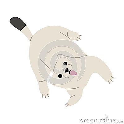 Stoats,Ermine Single 34 Vector Illustration