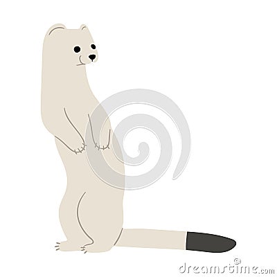 stoats,ermine and weasels cute 12 Vector Illustration