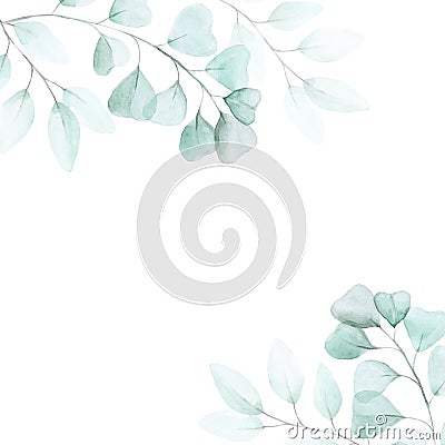Frame of eucalyptus leaves. Graphic design for wedding decoration, postcards. delicate watercolor drawing on a white background Cartoon Illustration