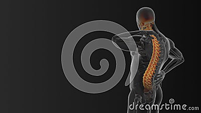 Neck and back joint pain medical concept Stock Photo