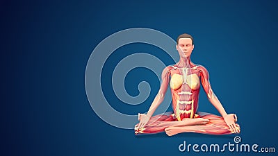 3D human Siddhasana with hand mudra yoga Pose on blue background Stock Photo