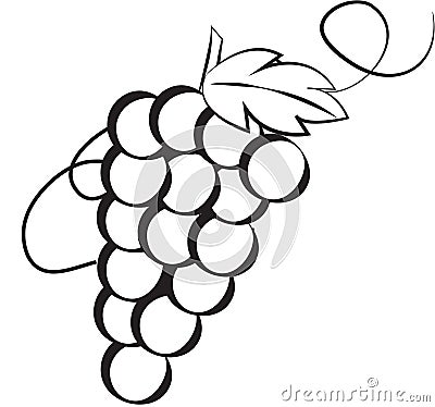 Stock Image: Grapes Stock Photo