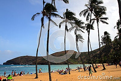 Stock image of Hanauma Bay, Oahu, Hawaii Editorial Stock Photo