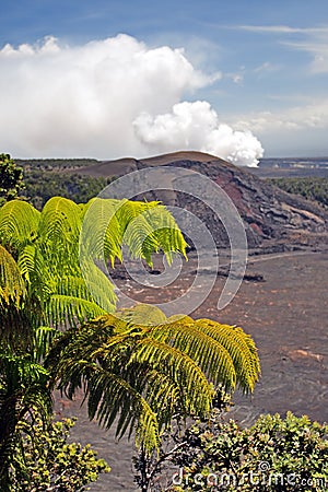 Stock image of Hawaii Volcanoes National Park, USA Stock Photo