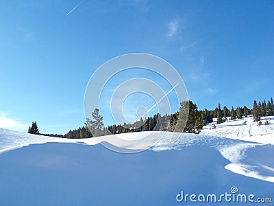 Stock Photo of Colorado Vail Pass Winter Landscape Stock Photo
