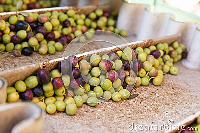 Stock photo of a conveyor belt with olives. Machinery of the olive oil extraction process Stock Photo