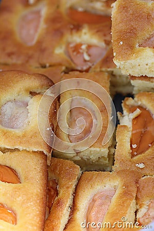 Stock photo of domestic biscuit close up Stock Photo