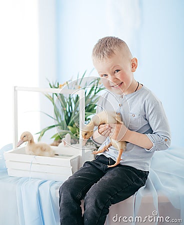 Little boy play with gosling indoors in spring Stock Photo