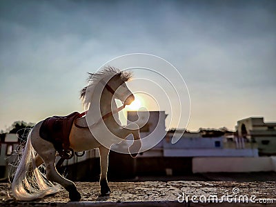 Stock photo of white color plastic horse toy kept on floor under bright sunlight on blur background at Gulbarga Karnataka India Stock Photo