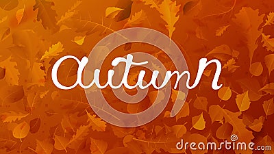 Stock vector illustration autumn falling leaves on background. Autumnal foliage fall and poplar leaf flying in wind motion blur. Vector Illustration