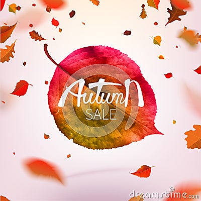 Stock vector illustration sale Autumn falling leaves. Autumnal foliage fall and poplar leaf flying in wind motion blur. Autumn Vector Illustration