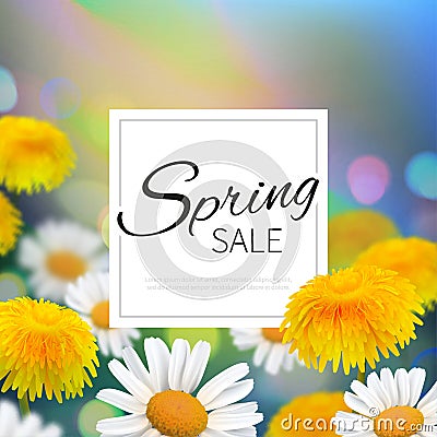 Stock vector illustration Spring sale. Realistic dandelion, taraxacum, blurred defocused background. Macro chamomile bokeh. Vector Illustration