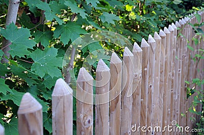 Stockade fence with half-round posts Stock Photo