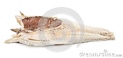 Stockfish isolated on white Stock Photo