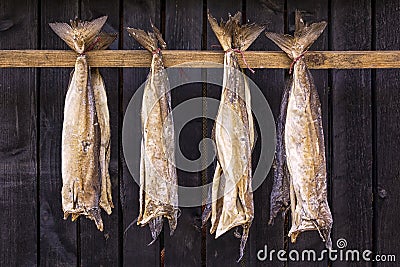 Stockfish is unsalted fish, especially cod, dried by cold air Stock Photo