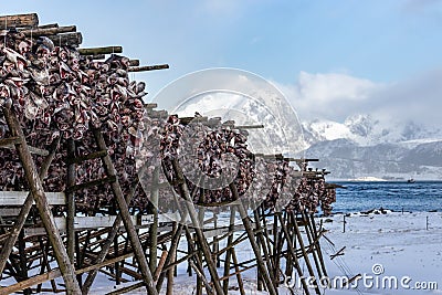 Stockfish on wood rack Stock Photo