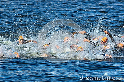 STOCKHOLM - AUG, 25: The chaotic start in the mens swimming with Editorial Stock Photo