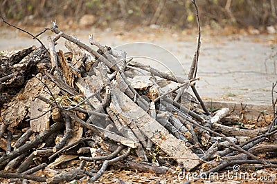 A Stockpile of Sawed Wood Stock Photo