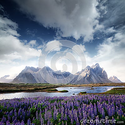 Stokksnes Stock Photo