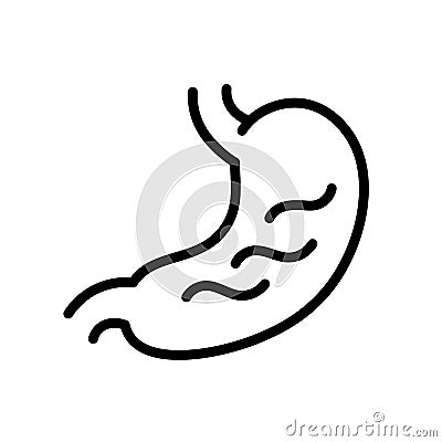 Stomach. Black and white simple outline icon. Vector illustration on a white background. Flat vector illustration Vector Illustration