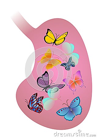Stomach with butterflies Vector Illustration