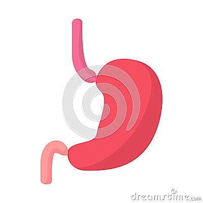 Stomach cartoon icon Vector Illustration