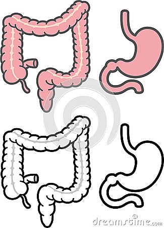 Stomach and colon Stock Photo