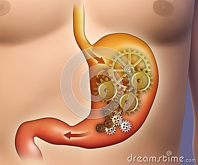 Stomach digestion Cartoon Illustration