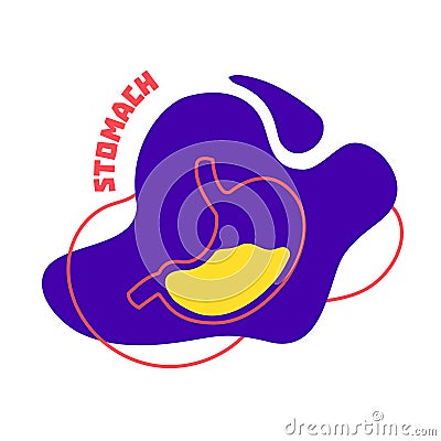 Stomach digestive system body organ outline icon Vector Illustration