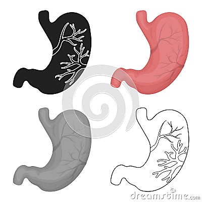 Stomach icon in cartoon style isolated on white background. Organs symbol stock vector illustration. Vector Illustration