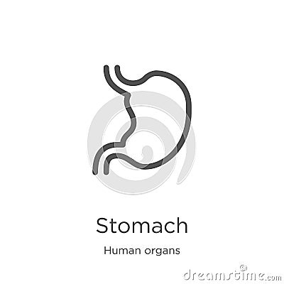 stomach icon vector from human organs collection. Thin line stomach outline icon vector illustration. Outline, thin line stomach Vector Illustration